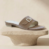 Brown D-Ring Buckle Flat